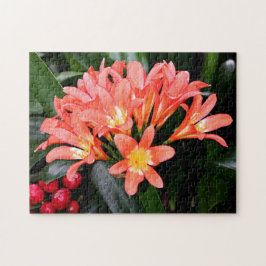 Clivia-blommor i blomning pussel
