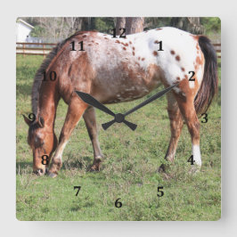 Clock, Appaloosa Horse Fyrkantig Klocka