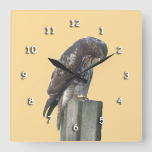 Clock - Falcon vid inlägg Fyrkantig Klocka