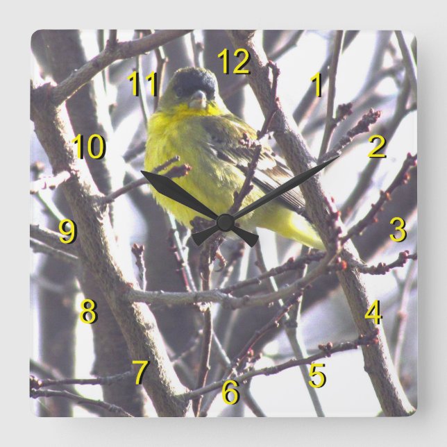 Clock - Gult Bird in Grenar Fyrkantig Klocka (Framsida)