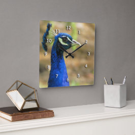 Clock - Peacock Porträtt Fyrkantig Klocka