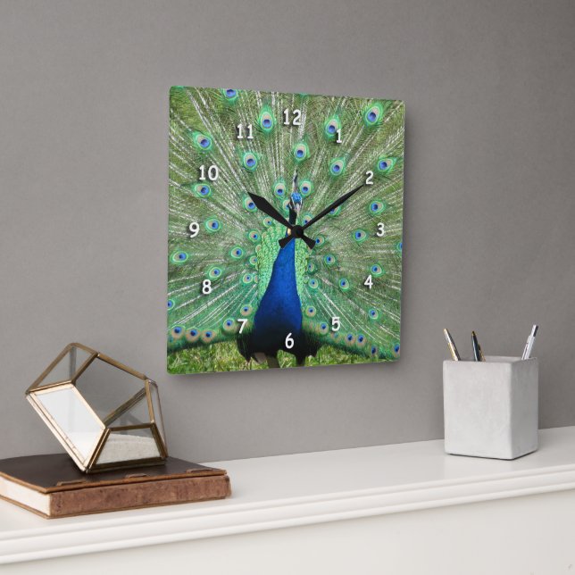 Clock - Peacock Svan Feathers Fyrkantig Klocka (Kontor)