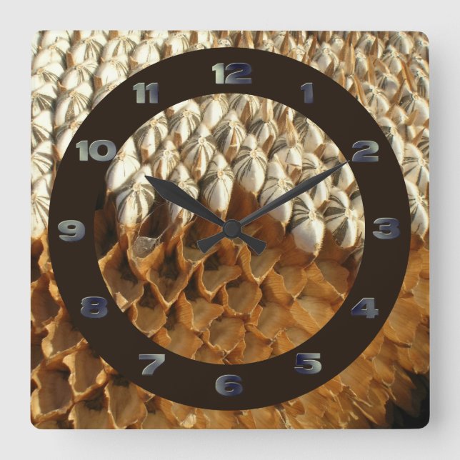 Clock - Sunflower Seeds with Circle Fyrkantig Klocka (Framsida)