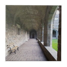 Cloister hallway med skuggor vid Bryn Mawr Kakelplatta