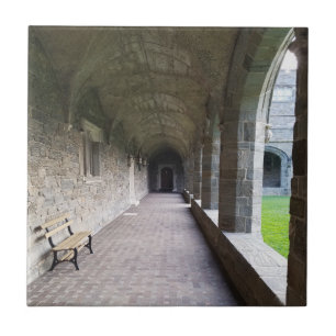 Cloister hallway med skuggor vid Bryn Mawr Kakelplatta