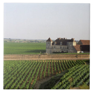 Clos de Vougeot 1600-talsklostret och Kakelplatta