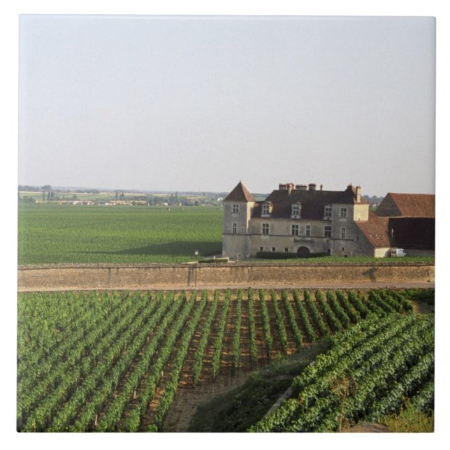Clos de Vougeot 1600-talsklostret och Kakelplatta (Framsidan)