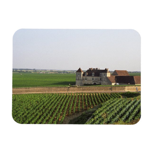 Clos de Vougeot 1600-talsklostret och Magnet (Horisontell)