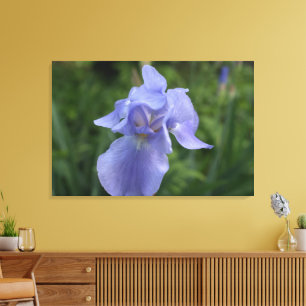 Close Lila Iris Flower Canvas
