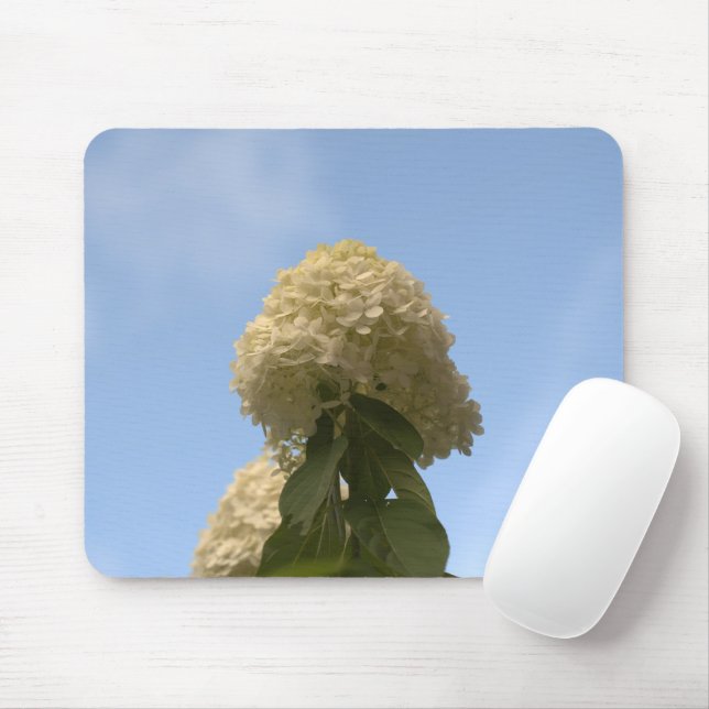 Close Lime Hydrangeas som pekar på himlar Mousepad Musmatta (Med mus)