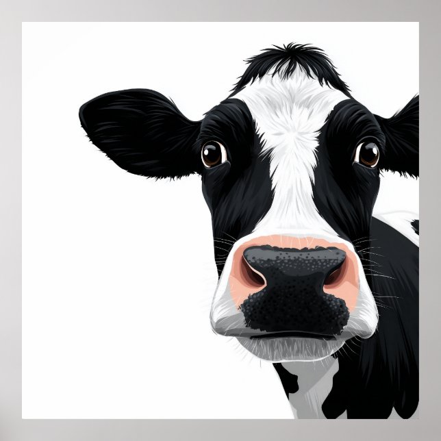 Close-Up Cow Curiosity Poster (Framsidan)