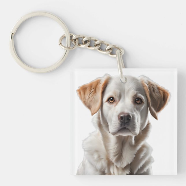 Close-Up Portrait of a Sweet-Faced Dog (Framsidan)
