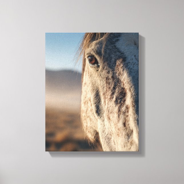 Close-Up White Horse Sunrise Portrait Canvastryck (Framsida)