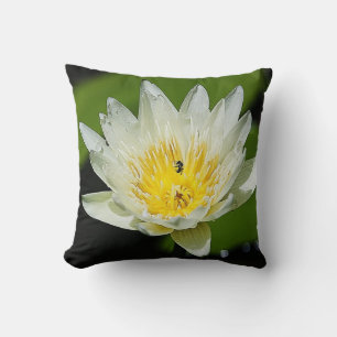 Close White Vatten Lily Flower and Bee Pillow Kudde