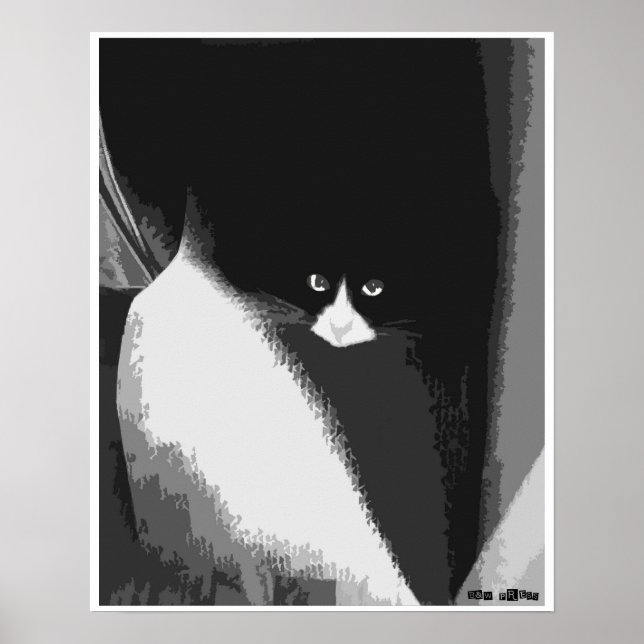 Closet Cat Poster (Framsidan)