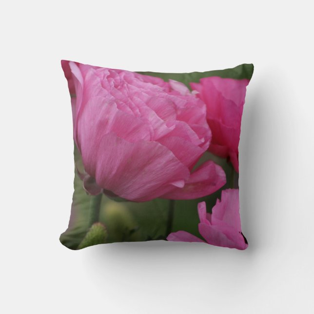 Closeup Deep Peony Rosa Ranunculus Kudde (Framsida)