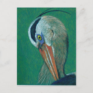 Closeup Heron Vykort