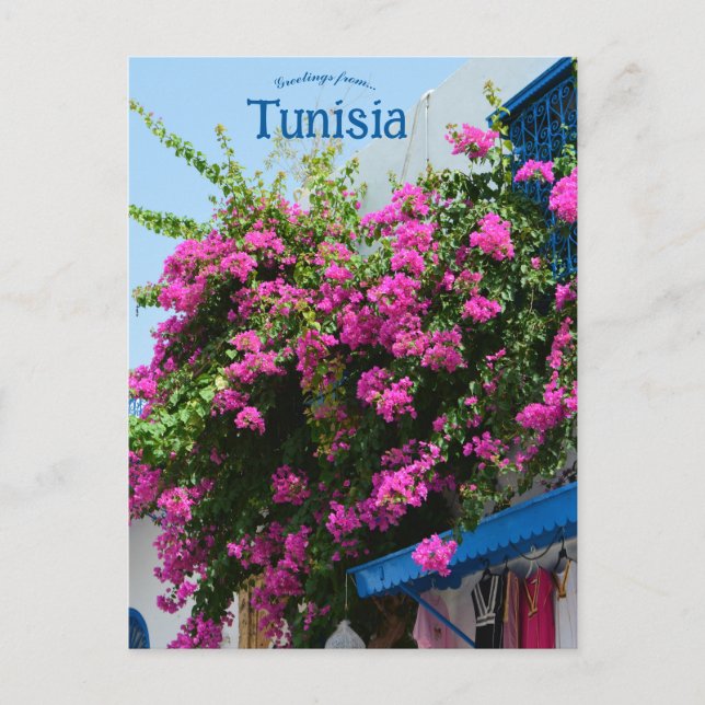 Clothing Store och Flowers i Tunis Tunisien Vykort (Framsida)