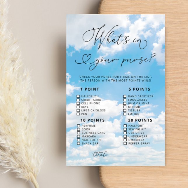 Cloud 9 What's in Your Purse Möhippa Game (Skapare uppladdad)