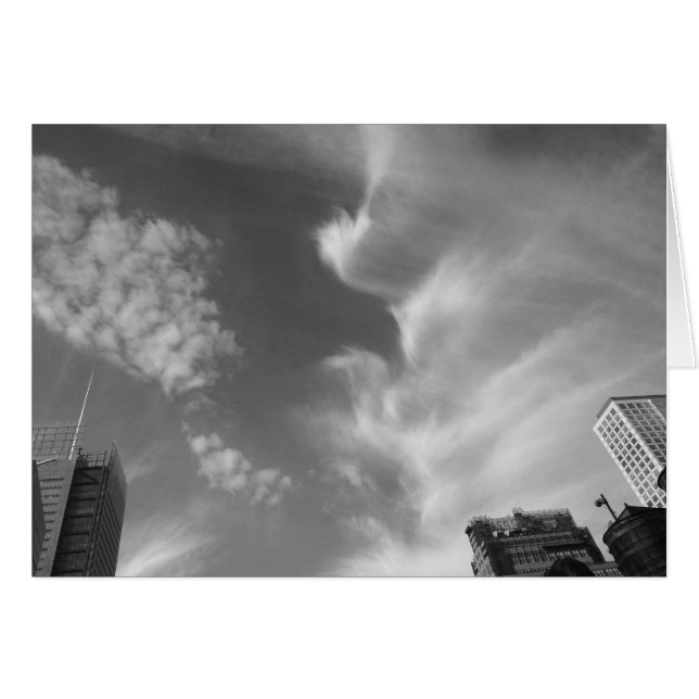 Cloud Bird, New York City, USA, noir, kort (Framsidan Horizontal)