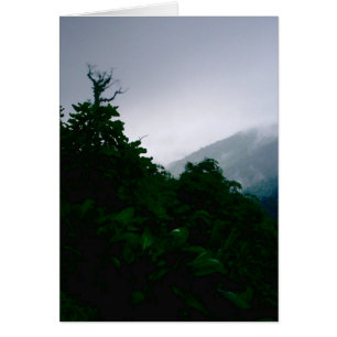 "Cloud Forest" OBS Kort