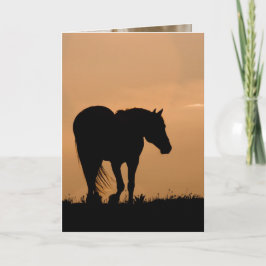 Cloud Walks at Sunset Vild Horse Greeting Card Kort