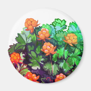 Cloudbär Magnet
