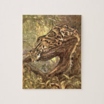 Clouded Leopard by CE Svan, Vintage Vilda djur