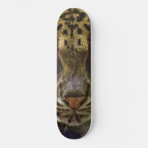 Clouded Leopard Mini Skateboard Bräda 18,5 Cm