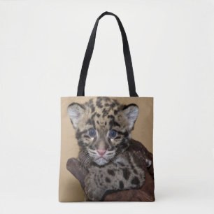 Clouded Leopard Unge Tygkasse