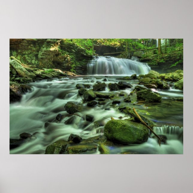 Cloudland Canyon Waterfall Poster (Framsidan)