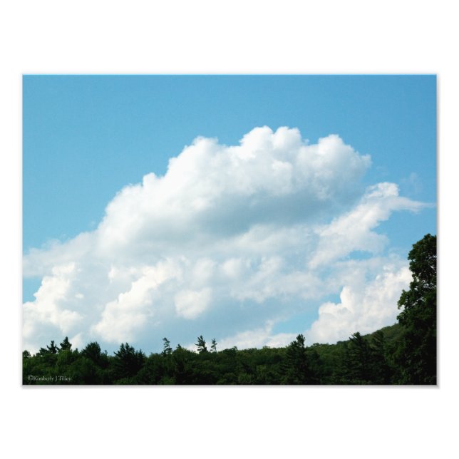 Clouds Meet Träd Fototryck (Framsidan)