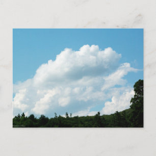 Clouds Meet Träd Vykort