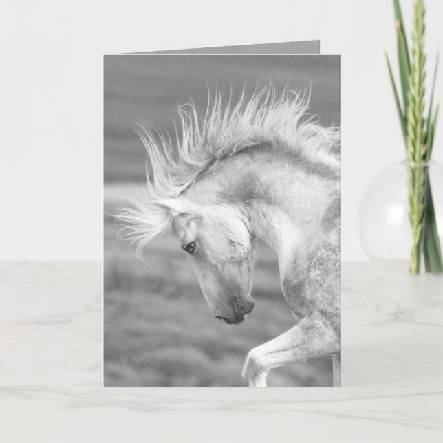 Cloud's Pride Vild Horse Greeting Card Kort (Framsida)