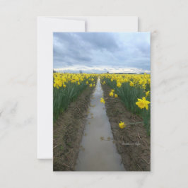 Cloudy Day Daffodils Anteckningskort