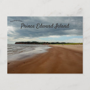 Cloudy Day on a Beach in Prince Edward Island Vykort