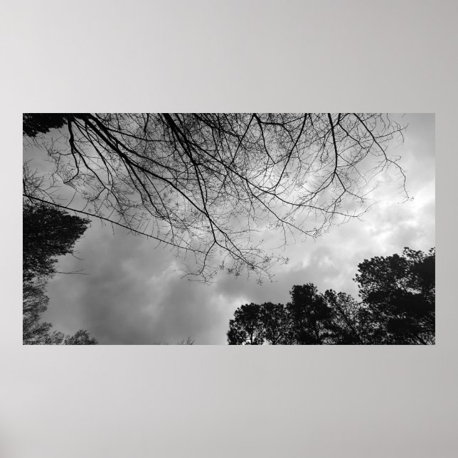 Cloudy Himmel, Poster (Framsidan)