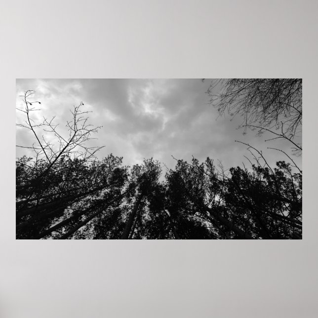 Cloudy Himmel, Poster (Framsidan)