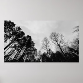 Cloudy Himmel, Poster