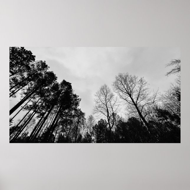 Cloudy Himmel, Poster (Framsidan)