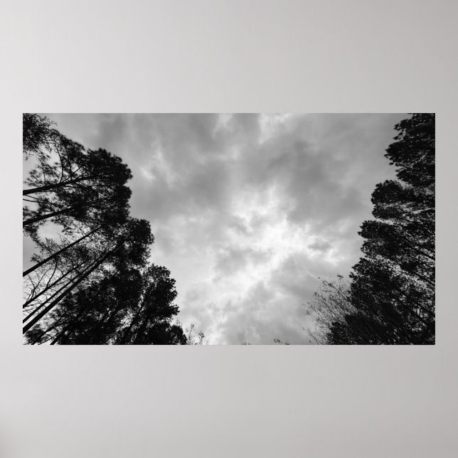 Cloudy Himmel, Poster (Framsidan)