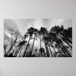 Cloudy Himmel, Poster