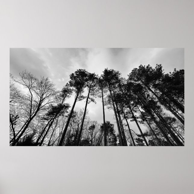 Cloudy Himmel, Poster (Framsidan)