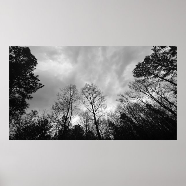 Cloudy Himmel, Poster (Framsidan)