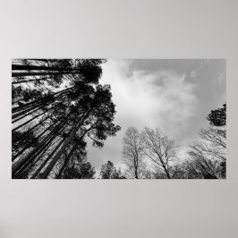 Cloudy Himmel, Poster