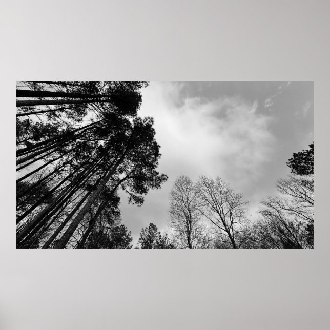 Cloudy Himmel, Poster (Framsidan)