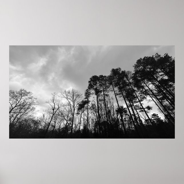 Cloudy Himmel, Poster (Framsidan)