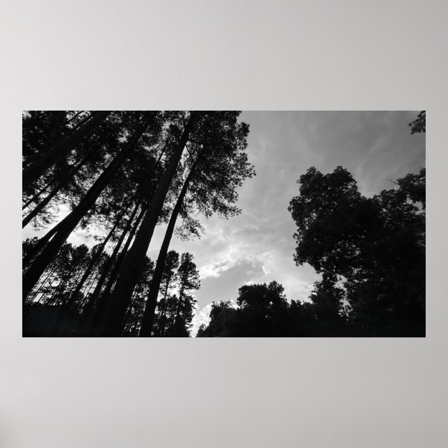 Cloudy Himmel, Poster (Framsidan)