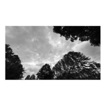 Cloudy Himmel, Poster