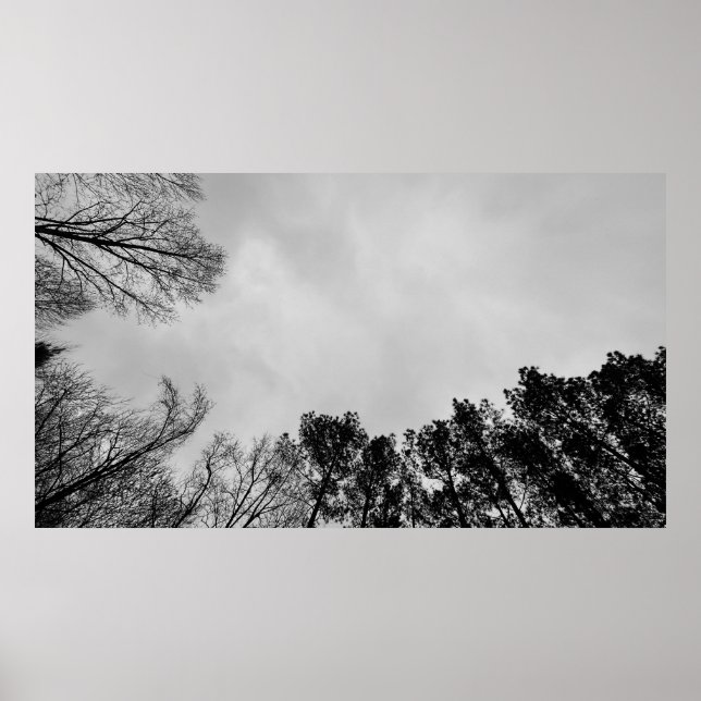 Cloudy Himmel, Poster (Framsidan)